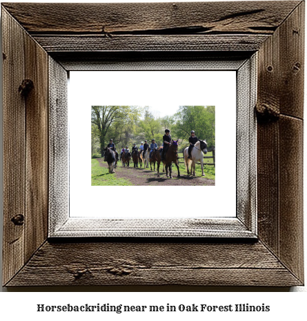 horseback riding near me in Oak Forest, Illinois